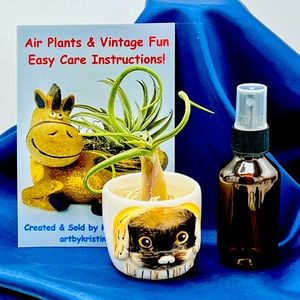 Mini DOG Planter Air Plant Set - Spanish Moss Fine Mist Sprayer FREE Air Plant